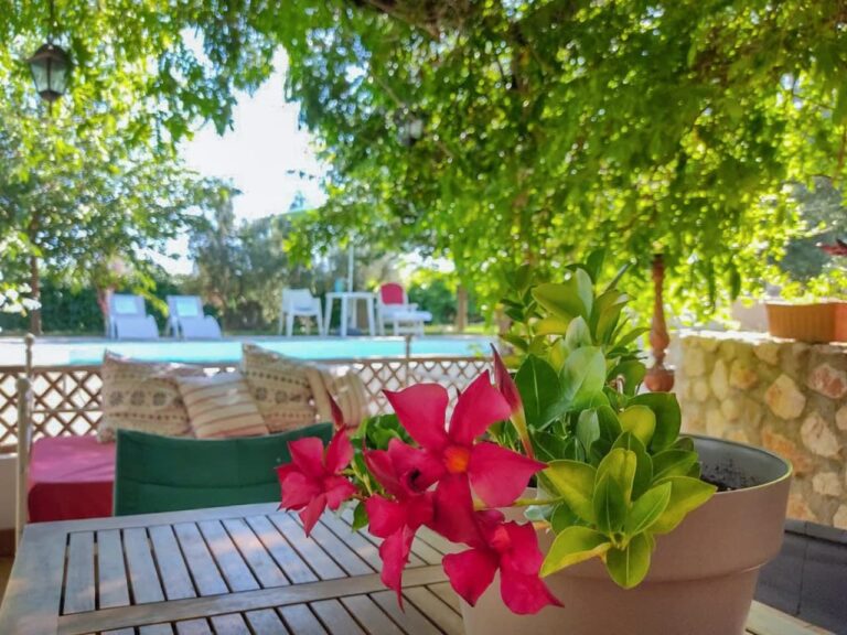 terraza 1