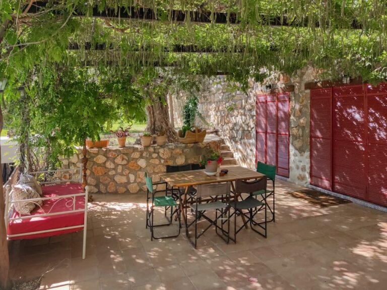 terraza 3