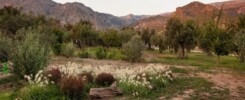 terreno 2